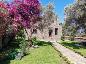 Secret Garden Villas, Private Pool In Yalıkavak